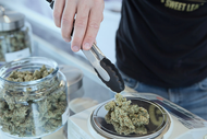 Still Buying One Strain at a Time? Here's the Case for THCa Bundles