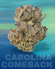 Carolina Comeback: A Strain with a Mission