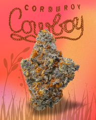 Corduroy Cowboy: A Collab Strain For Creative Expression
