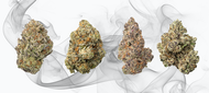 You've Never Bought THCa Flower Before. Here's Why Starting With a Bundle Is the Right Call