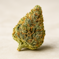 THCa Benefits, Safety, and Legal Insights for Hemp Enthusiasts