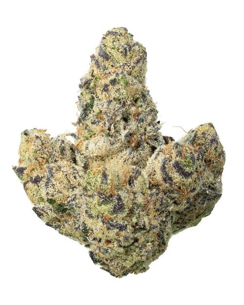 A dense Permanent Chimera cannabis bud displaying bright green and purple hues, orange pistils, and a heavy frost of crystalline trichomes