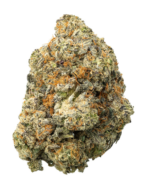 A dense Afgoo cannabis bud featuring dark green leaves, bright orange-amber pistils, and sparkling crystal trichomes