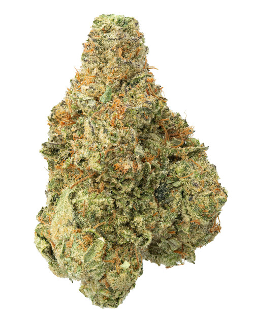 A Hash Burger x Too Much Lime cannabis bud with light forest green leaves, bright amber pistils, and covered in crystalline trichomes