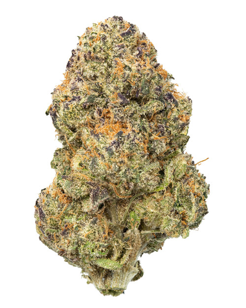 A dense Purple Punch cannabis bud featuring deep forest green and dark purple hues, bright orange pistils, and a layer of crystalline trichomes