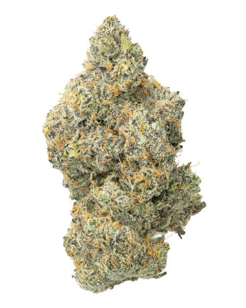 A dense Rain Drop cannabis bud with lime and olive green leaves, yellow-orange pistils, and frosty trichomes
