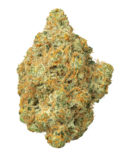 A dense Velvet Creamsicle cannabis bud, displaying vibrant green foliage intertwined with bright orange pistils and heavily coated in golden-white crystal trichomes 