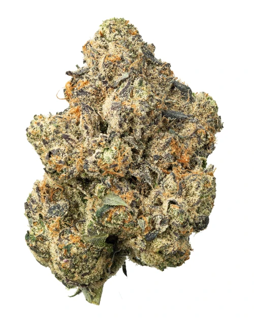 THCa Sunset Runtz Indoor Living Soil