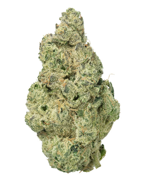 A dense Laser Jet cannabis bud, displaying vibrant green foliage intertwined with light orange pistils and heavily coated in golden-white crystal trichomes 