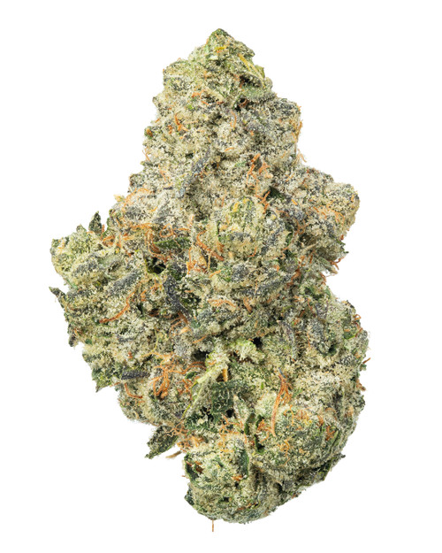 A dense Toad Venom cannabis bud featuring forest green leaves with purple hues, bright orange pistils, coated in golden-white crystalline trichomes