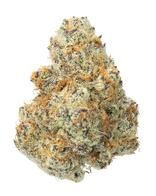 THCa Dante's Wrath Indoor Living Soil