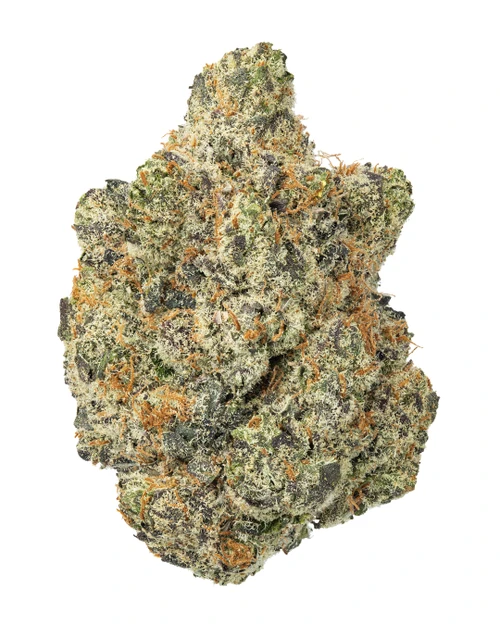 THCa Sour Apricot Indoor Living Soil