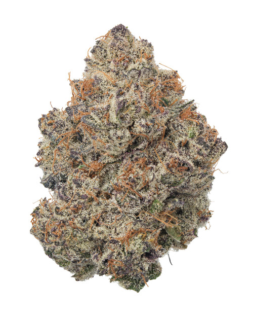A dense Lemon Cherry Gelato cannabis bud featuring deep forest-green leaves, interwoven with dark purple hues and bright orange pistils, heavily coated in glistening, frosty white trichomes