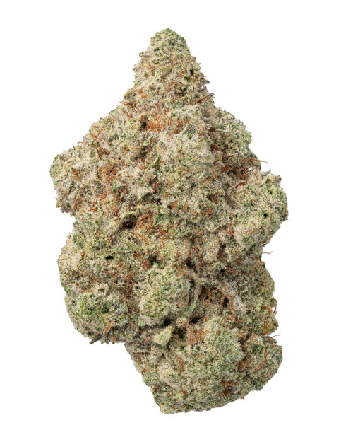 A dense Karma 20/20 cannabis bud, displaying vibrant green foliage intertwined with bright orange pistils and heavily coated in golden-white crystal trichomes 