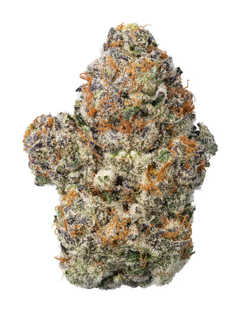 A dense Blue Sunset Sherbet cannabis bud featuring vibrant purple and deep green hues with shimmering crystal trichomes and contrasting orange pistils