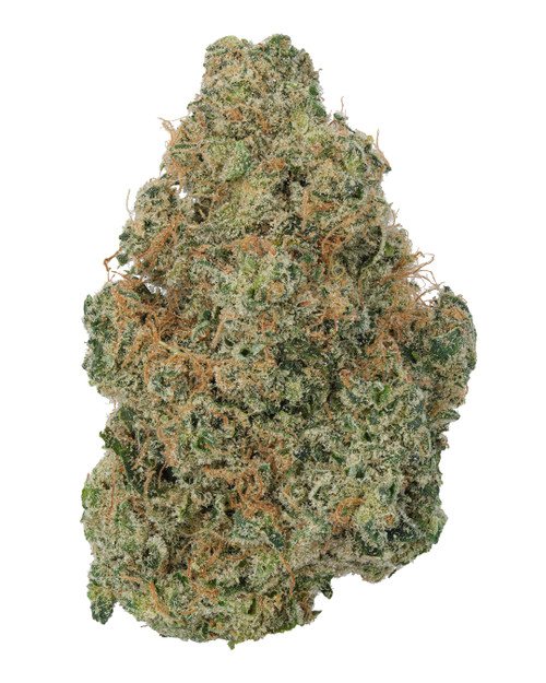 A dense Panama Red cannabis bud displaying forest green leaves woven with orange pistils, and coated in a frosty layer of crystal trichomes 