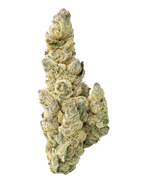 THCa Sour Diesel Indoor Living Soil