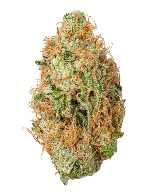 THCa Acapulco Gold Indoor Living Soil