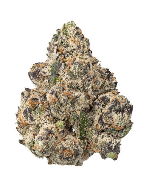 A dense Platinum Lemon Cherry Gelato cannabis bud featuring forest green leaves with deep purple hues, bright orange pistils, coated in crystalline trichomes