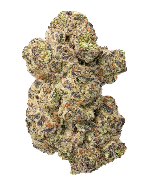 A dense Rainbow Inferno cannabis bud with light green leaves, dark purple hues, and orange pistils, coated in golden-white crystal trichomes 