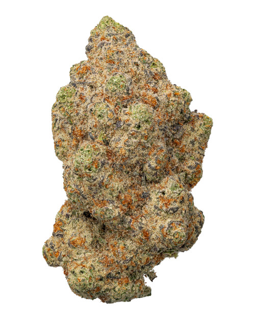 THCa Astronaut Status 24 Indoor Living Soil