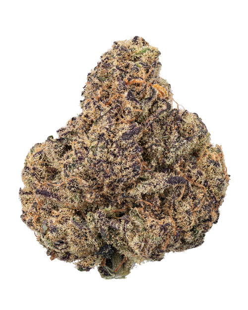 A dense Boring Glory cannabis bud displaying dark green and deep purple hues, orange pistils, and a layer of golden crystalline trichomes