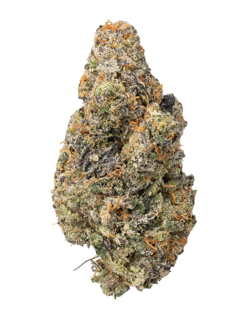 A dense Mendo Crème cannabis bud featuring forest green leaves, dark purple undertones, and bright orange hairs, coated in a sparkling layer of white crystal trichomes 