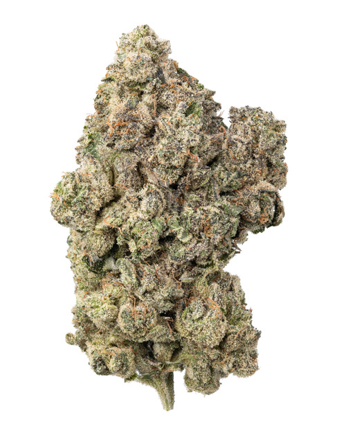 THCa Purple Churro Indoor Living Soil