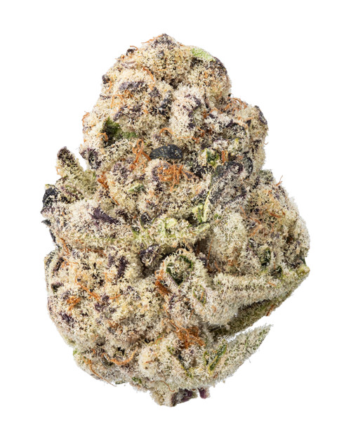 A dense Punch Breath cannabis bud, displaying light olive green and dark purple foliage intertwined with bright orange pistils and heavily coated in sparkling white crystal trichomes 