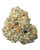 A dense Flex Panther cannabis bud featuring bright forest green leaves, deep purple undertones, and bright orange hairs, coated in a sparkling layer of white crystal trichomes 
