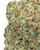 Close up of a dense Street Guru cannabis bud featuring forest green leaves, bright orange pistils, and a frosty layer of crystalline trichomes