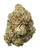 A dense Afgoo cannabis bud featuring dark green leaves, bright orange-amber pistils, and sparkling crystal trichomes