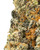 Close up of a dense Afgoo cannabis bud featuring dark green leaves, bright orange-amber pistils, and sparkling crystal trichomes