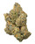 A dense Amaretto Sour cannabis bud with olive green and purple tones, covered in a sparkling layer of frosty white trichomes and copper-orange pistil hairs