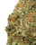 Close up of a Hash Burger x Too Much Lime cannabis bud with light forest green leaves, bright amber pistils, and covered in crystalline trichomes