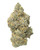 A dense Rain Drop cannabis bud with lime and olive green leaves, yellow-orange pistils, and frosty trichomes