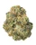 A dense Rude Boi OG cannabis bud featuring forest green leaves with purple hues, bright orange pistils, and a thick, frosty layer of crystalline trichomes