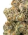 THCa Sunset Runtz Indoor Living Soil