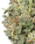 THCa 5280 Indoor Living Soil