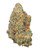 A dense Alien Vortex cannabis bud featuring deep forest green and purple hues, bright orange pistils, and a layer of crystalline trichomes