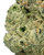 Close up of a dense Laser Jet cannabis bud, displaying vibrant green foliage intertwined with light orange pistils and heavily coated in golden-white crystal trichomes 