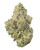 A dense Toad Venom cannabis bud featuring forest green leaves with purple hues, bright orange pistils, coated in golden-white crystalline trichomes