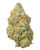 THCa Dante's Candy Indoor Living Soil