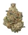 WNC x Karma THCa Flower Bundle