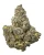 WNC x Karma THCa Flower Bundle