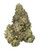 A dense Rainbow Cotton Candy cannabis bud featuring dark forest green leaves and amber pistils, coated in white crystal trichomes