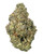 THCa Zuyaqui Indoor Living Soil