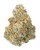 THCa Dante's Wrath Indoor Living Soil