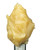 Grape GMO Cold Cure Live Rosin (74.481% THCa)