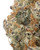 THCa Devil Driver Indoor Hydro